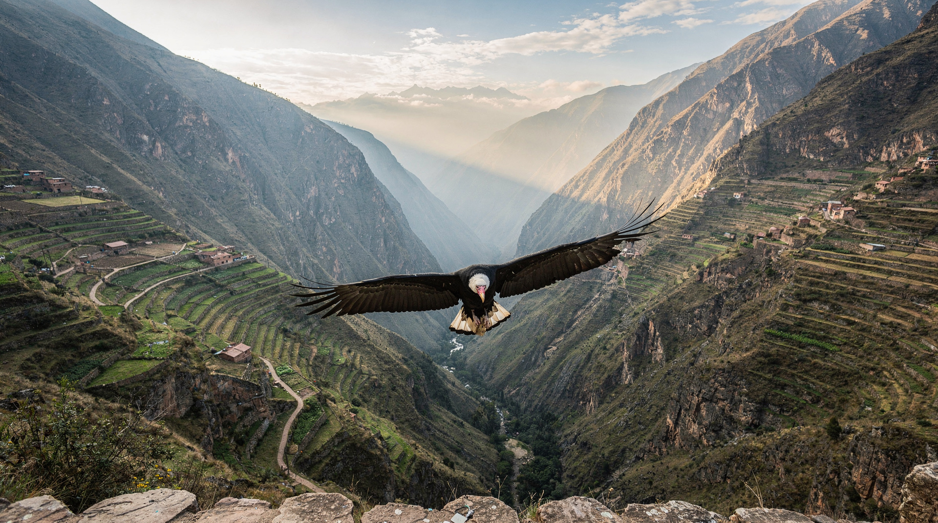 Colca Canyon, Cusco and Peru