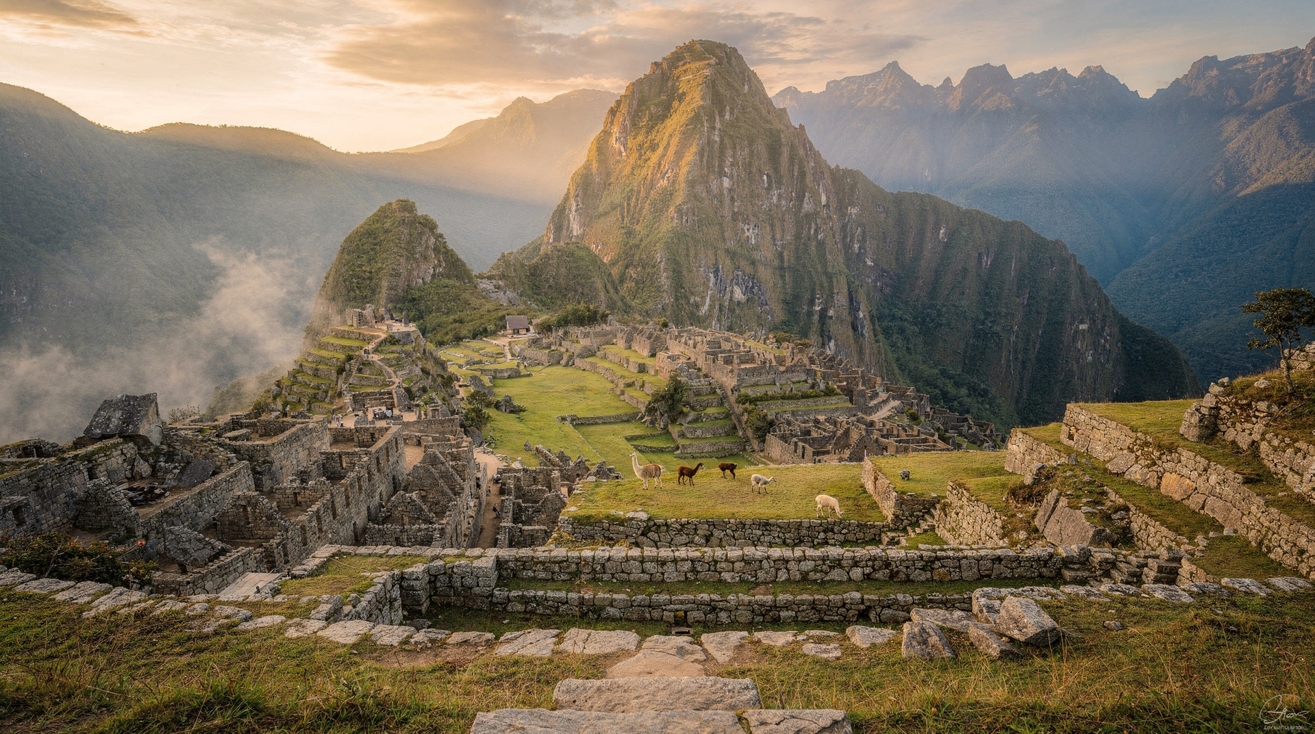 Cusco: Machu Picchu + Tourist Train + Entrance Ticket