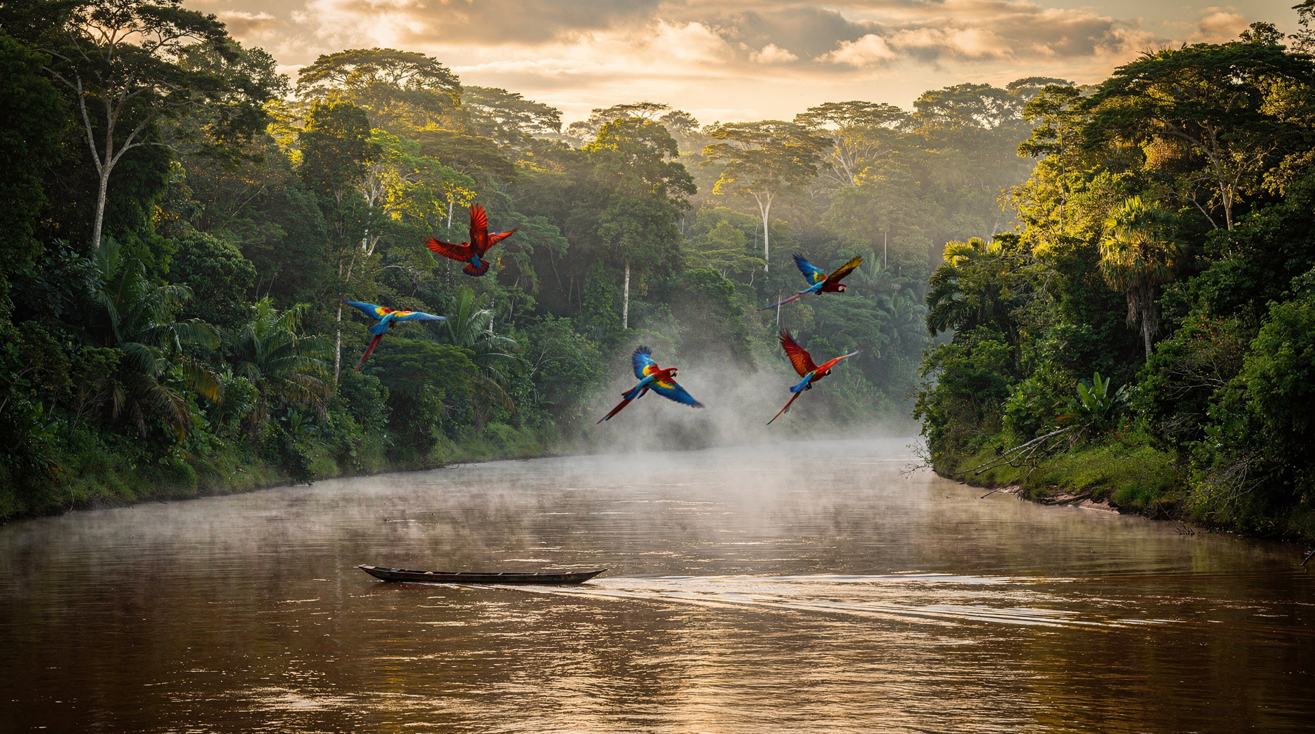 Visitar a Amazônia a partir de Cusco: guia de Tambopata — Como visitar a selva amazônica a partir de Cusco via Puerto Maldonado e Tambopat