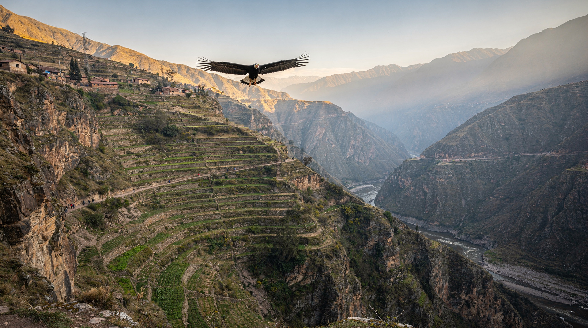 Ver condores no Cânion do Colca: guia completo — Como ver condores andinos no Cânion do Colca — mirante Cruz del Cóndor, melhores