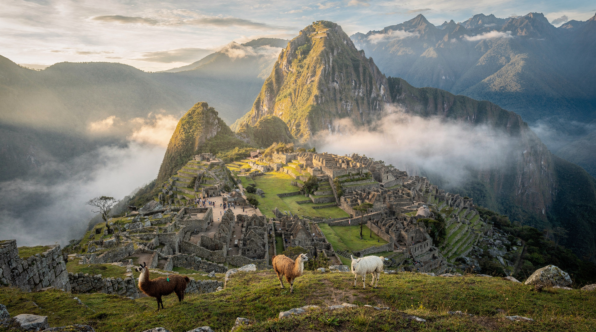 Altitude de Machu Picchu explicada: é suficiente para causar problemas? — Machu Picchu fica a 2.430 m — abaixo de Cusco. Saiba o que isso significa para o