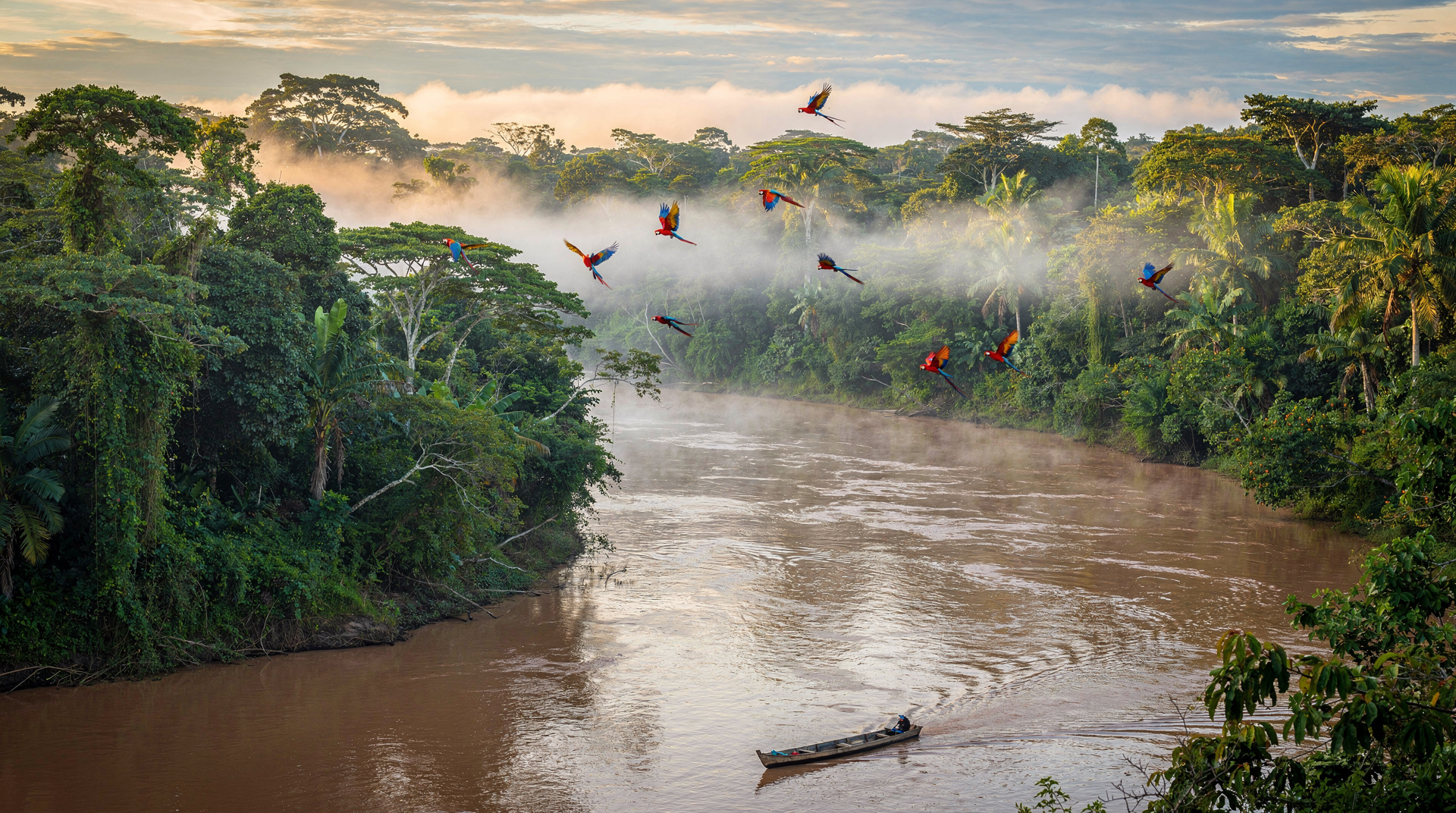 Tambopata vs Manu: qual reserva amazônica escolher — Tambopata vs Manu — comparação honesta das duas reservas amazônicas do Peru. Ace
