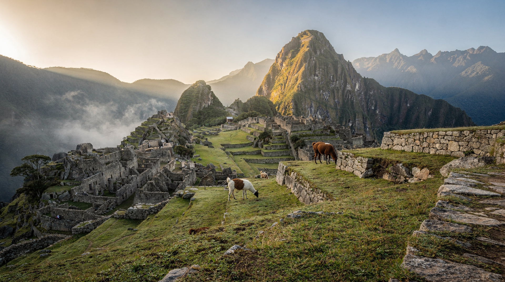 Trains to Machu Picchu compared — PeruRail vs Inca Rail, every class — PeruRail vs Inca Rail to Machu Picchu: every service class compared by price, co